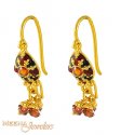 22Kt Gold Earrings (Hook style)