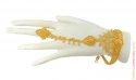 22k Fancy Panja Bracelet With Ring - Click here to buy online - 1,138 only..