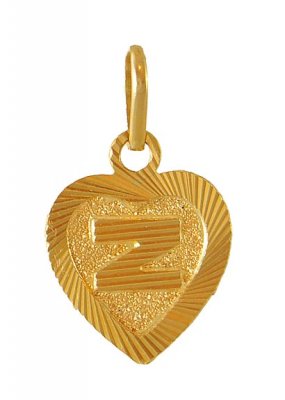 Gold Z Initial Pendant ( Initial Pendants )