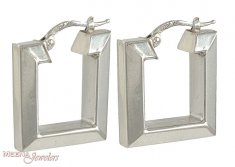 White Gold Earrings